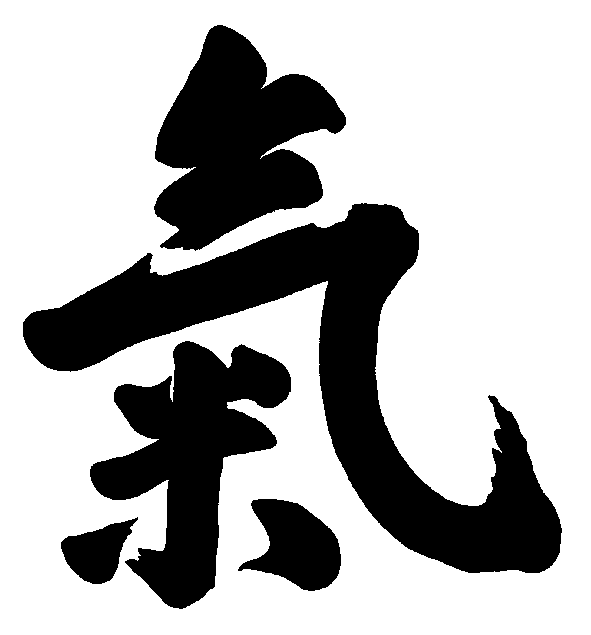Aikido Shin Shin Toitsu